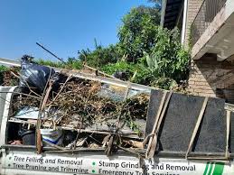 Best Hoarding Cleanup  in Savanna, IL